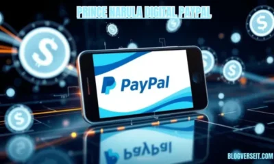 TechPrince Narula Digital PayPal