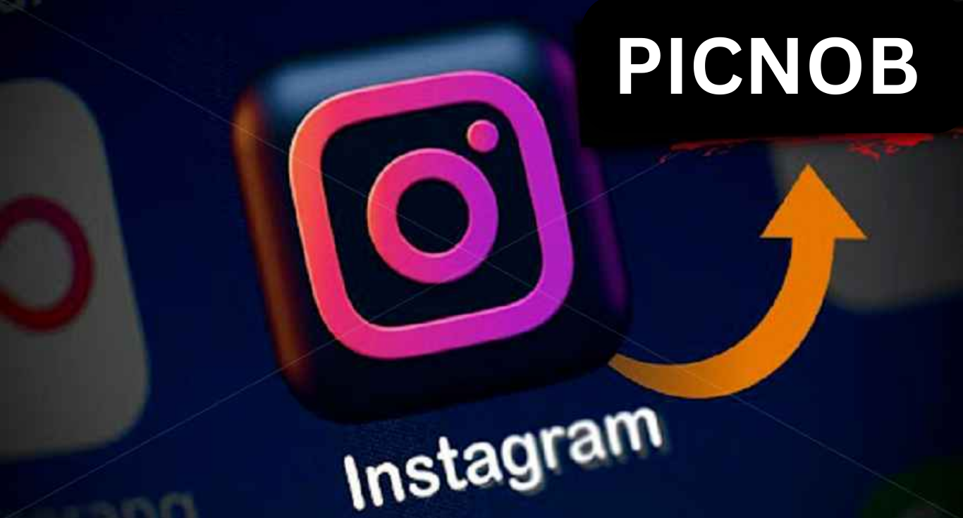 Picnob Instagram