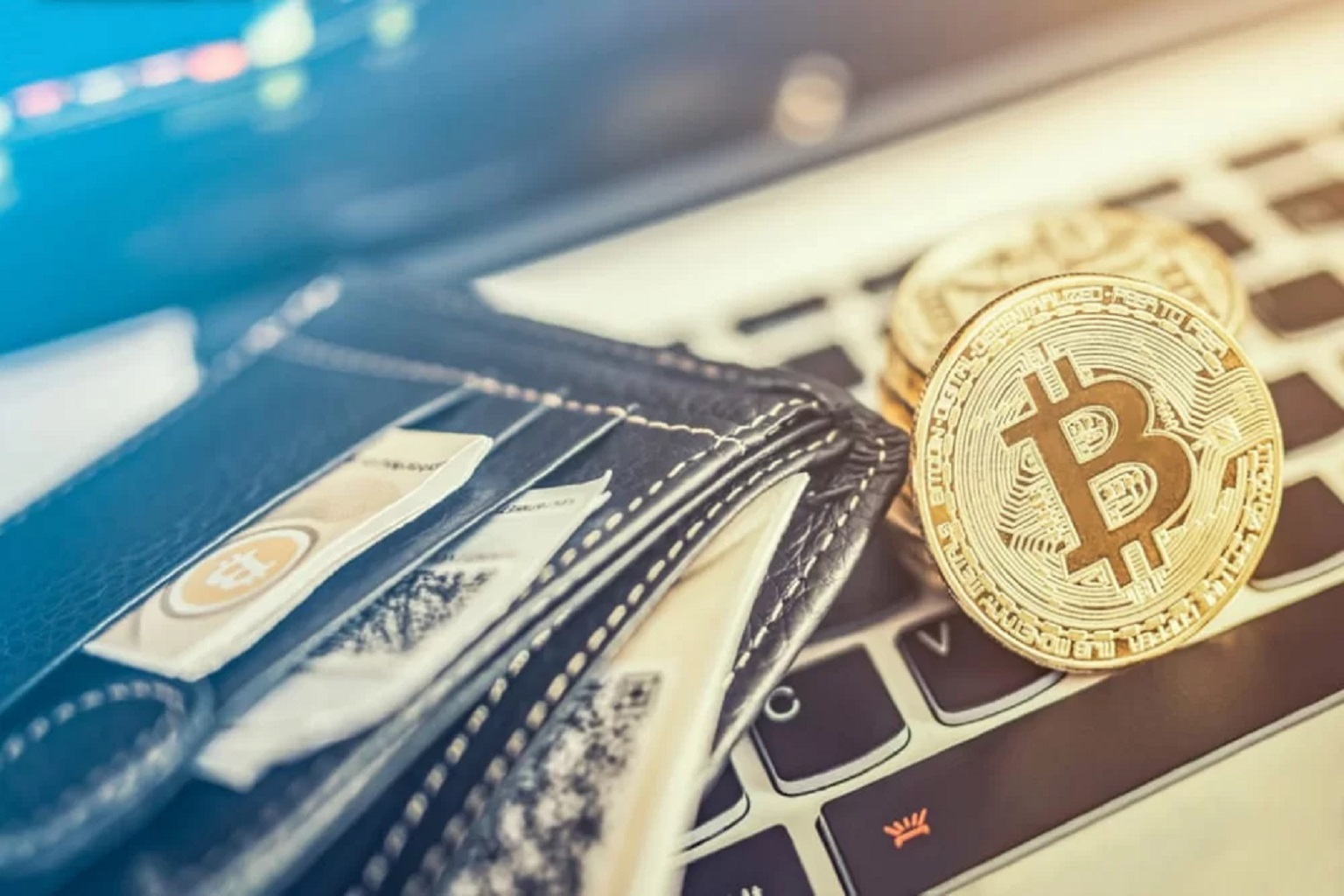 ecrypto1.com crypto wallets