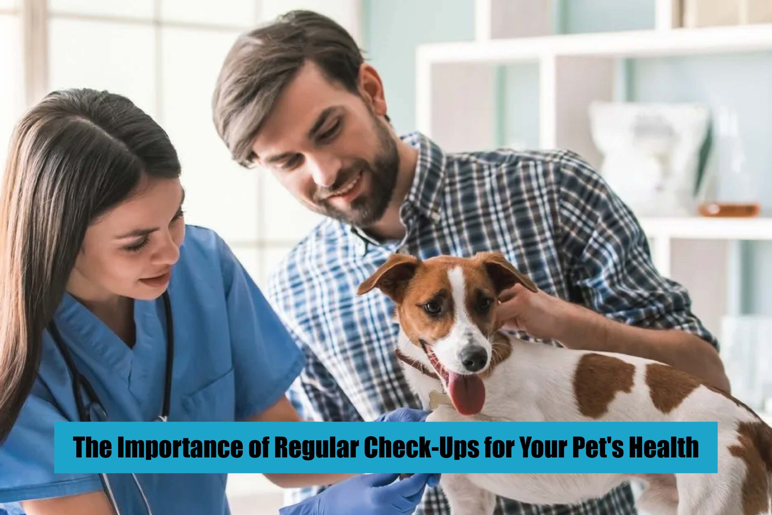 The Importance of Regular Check-Ups for Your Pet's Health