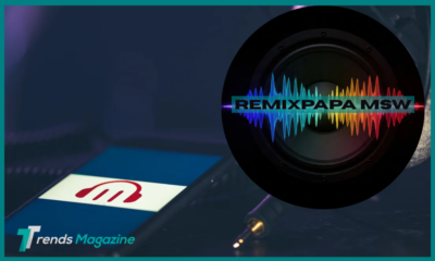 Remixpapa MSW
