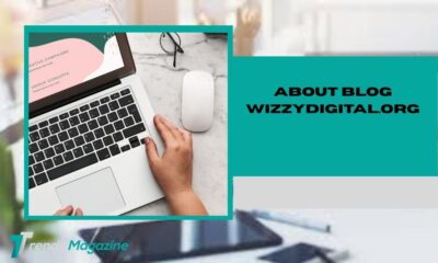 about blog wizzydigital.org