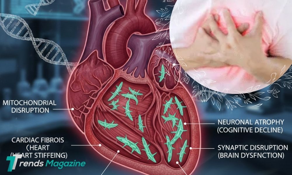 why does ozdikenosis kill you
