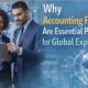 Why Accounting Firms Are Essential Partners for Global Expansion